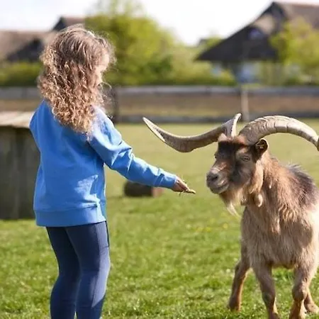 Im Der Valk Linstow Dobbin-Linstow